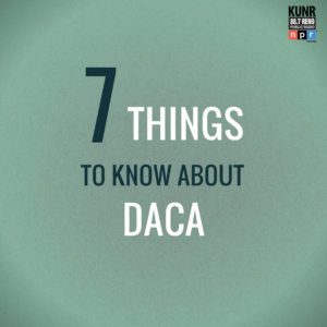 "7 Things to Know About DACA." Graphic by Natalie Van Hoozer. 