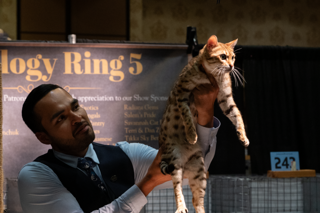 Man holds cat up in the air
