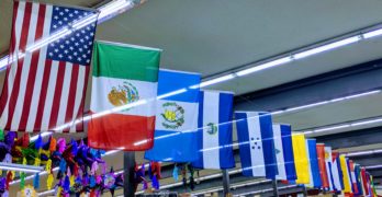 Flags of all the countries in Latin America, including the United State's flag.