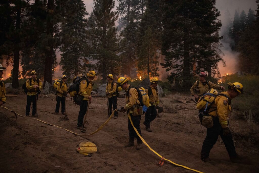 Firefighters working in a forest