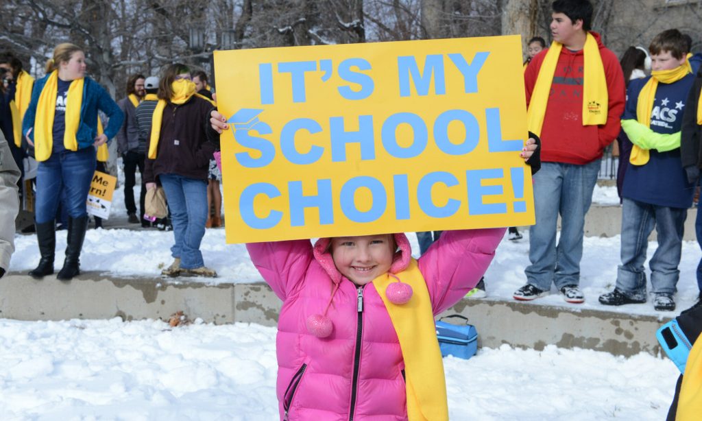 Girl holds sign with words "it's my school choice"