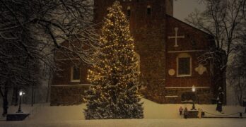 A christmas tree is pictured in front of a catholic church.