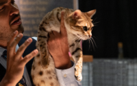 man holds cat in air