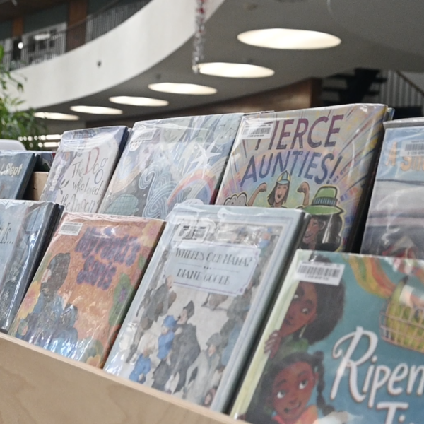 library books on shelf